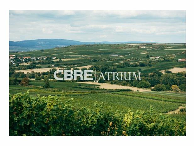 Terrain Vente 03300 CREUZIER LE VIEUX