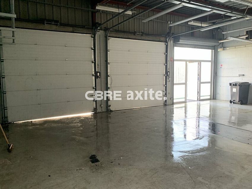 Local d'activités Location 74960 CRAN GEVRIER