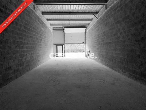 Local d'activités Location 74130 CONTAMINE SUR ARVE