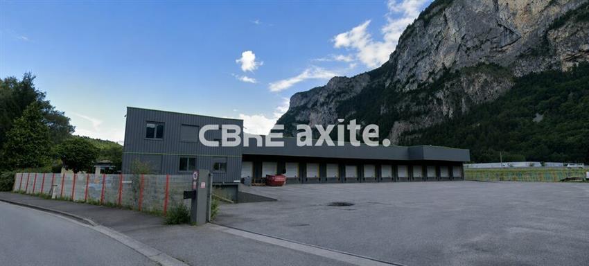 Local d'activités Vente 74300 MAGLAND