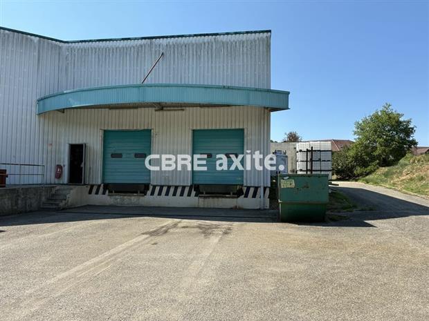 Local d'activités Vente 74150 RUMILLY