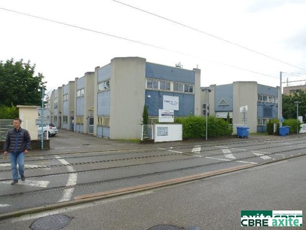 Local d'activités Location 38400 SAINT MARTIN D HERES