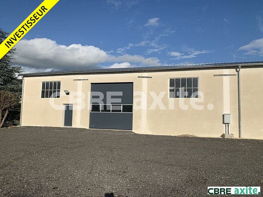 Local d'activités Vente 38300 RUY