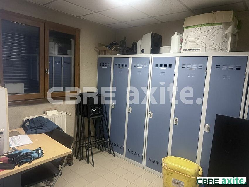 Local d'activités Vente 38300 RUY