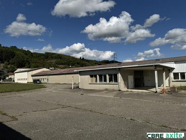 Local d'activités Vente 38690 LE GRAND-LEMPS