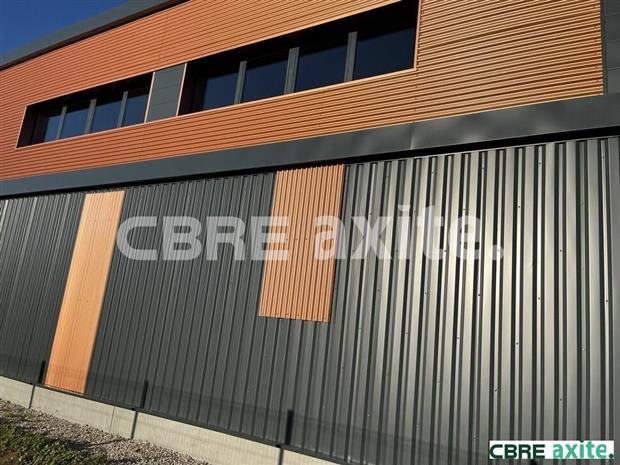 Local d'activités Location 38490 AOSTE