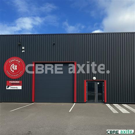 Local d'activités Location 38300 NIVOLAS-VERMELLE