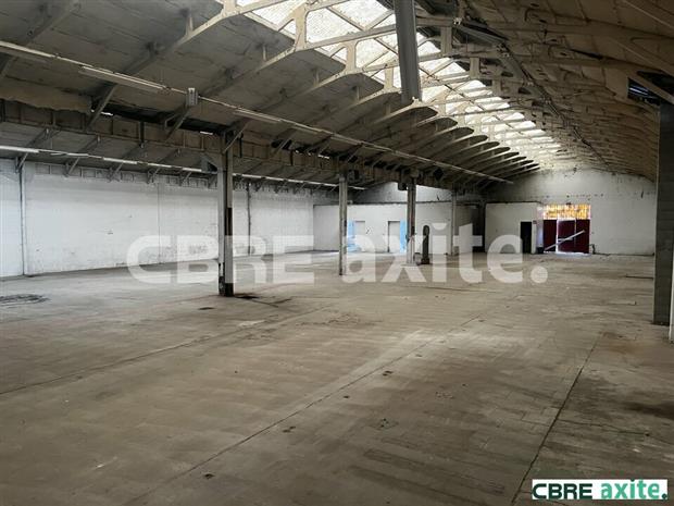 Entrepôt / Local d'activités Vente 38230 CHAVANOZ