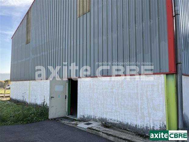 Local d'activités Location 38490 GRANIEU