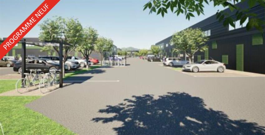 Chargement de l'image...