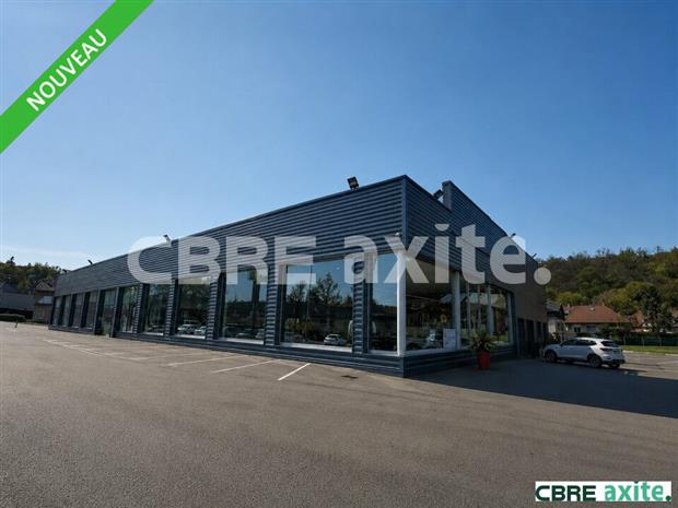 Local d'activités Location 38300 NIVOLAS-VERMELLE