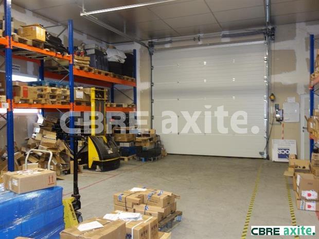 Local d'activités Location 38300 NIVOLAS VERMELLE