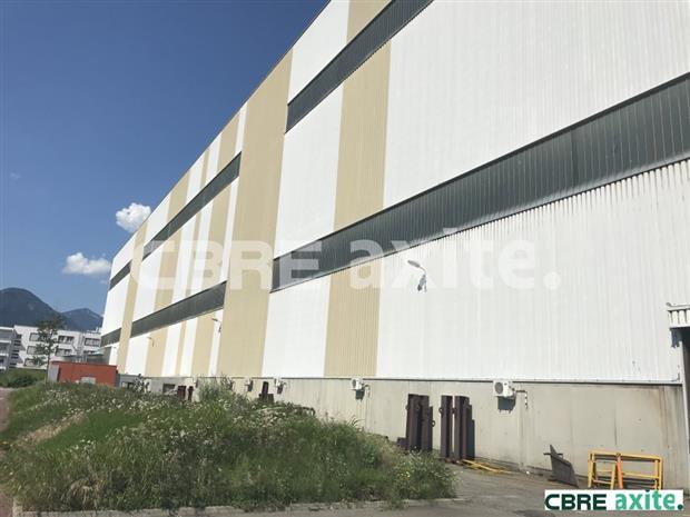 Local d'activités Vente 38100 GRENOBLE