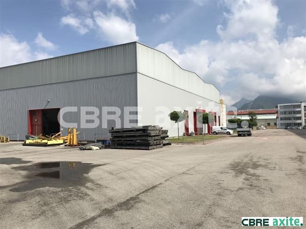 Local d'activités Vente 38100 GRENOBLE