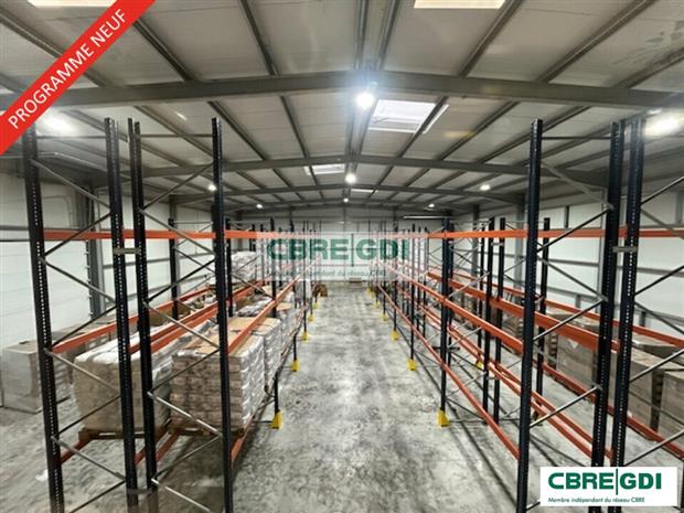 Chargement de l'image...