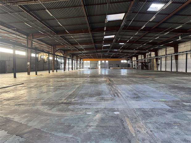 Chargement de l'image...