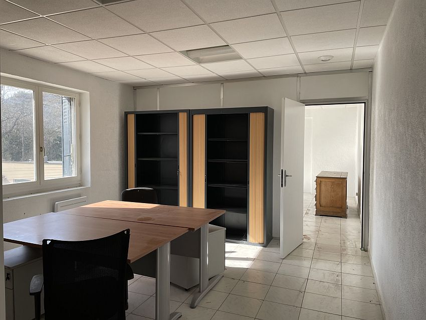 Local d'activités Location 69250 FLEURIEU SUR SAONE