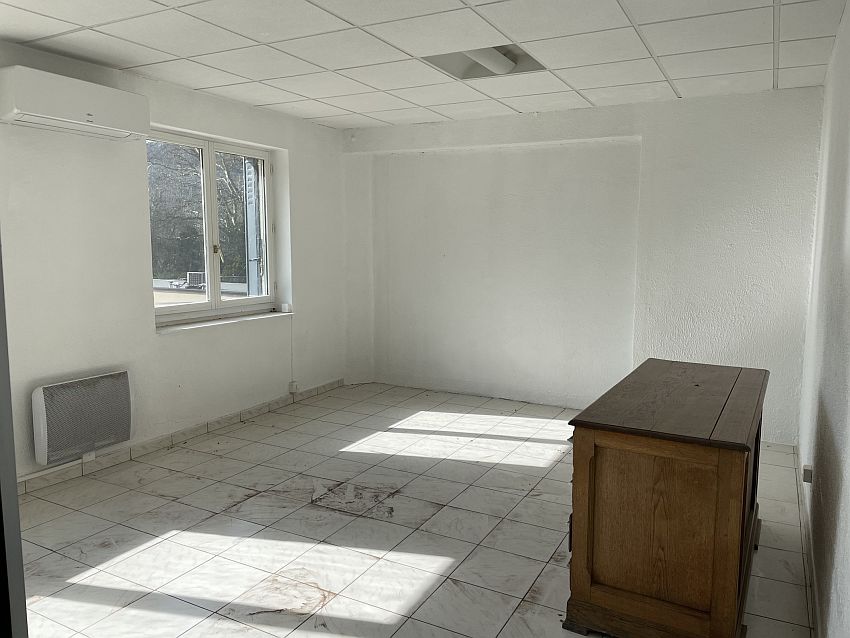 Local d'activités Location 69250 FLEURIEU SUR SAONE