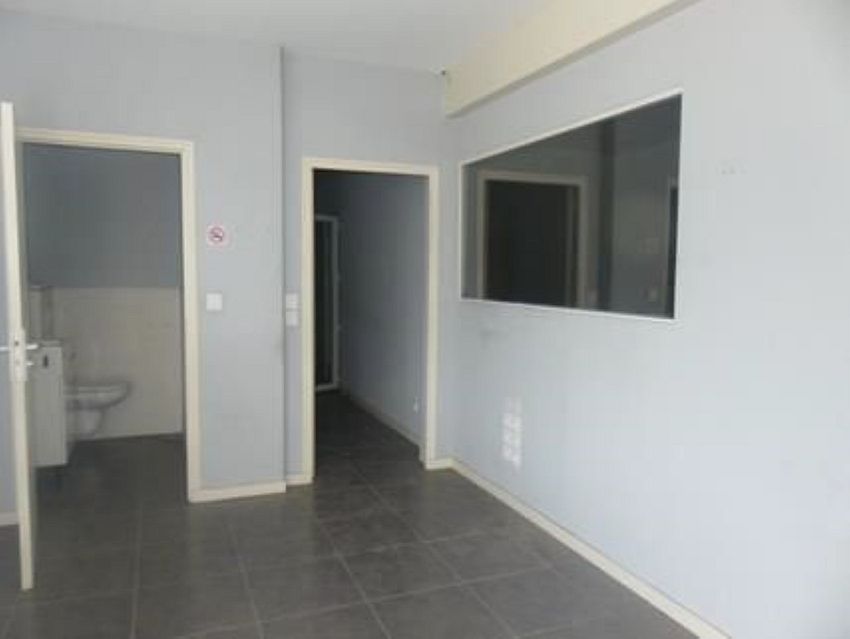 Local d'activités Location 69250 FLEURIEU SUR SAONE