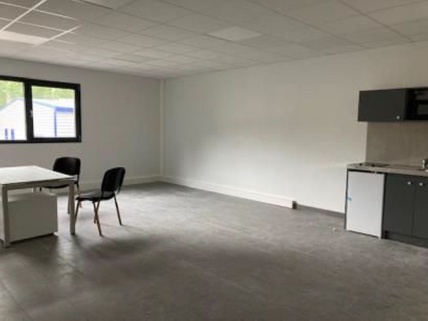 Local d'activités Location 69250 FLEURIEU SUR SAONE