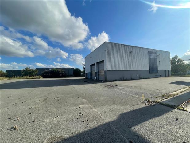 Chargement de l'image...