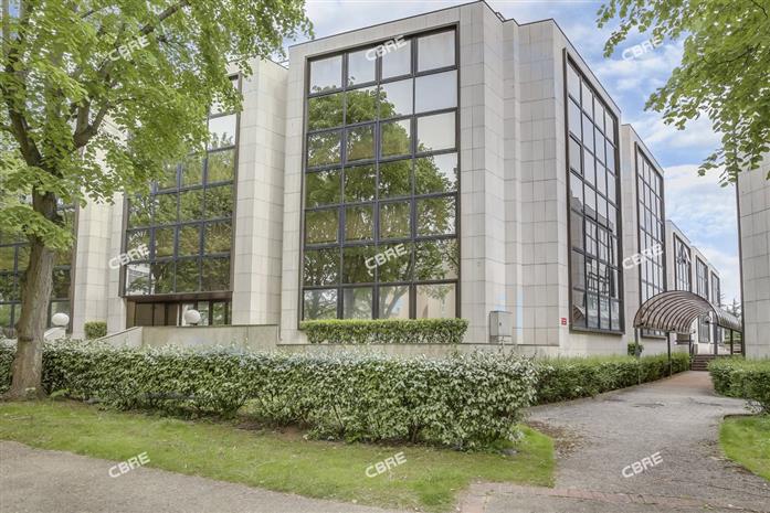 Chargement de l'image...