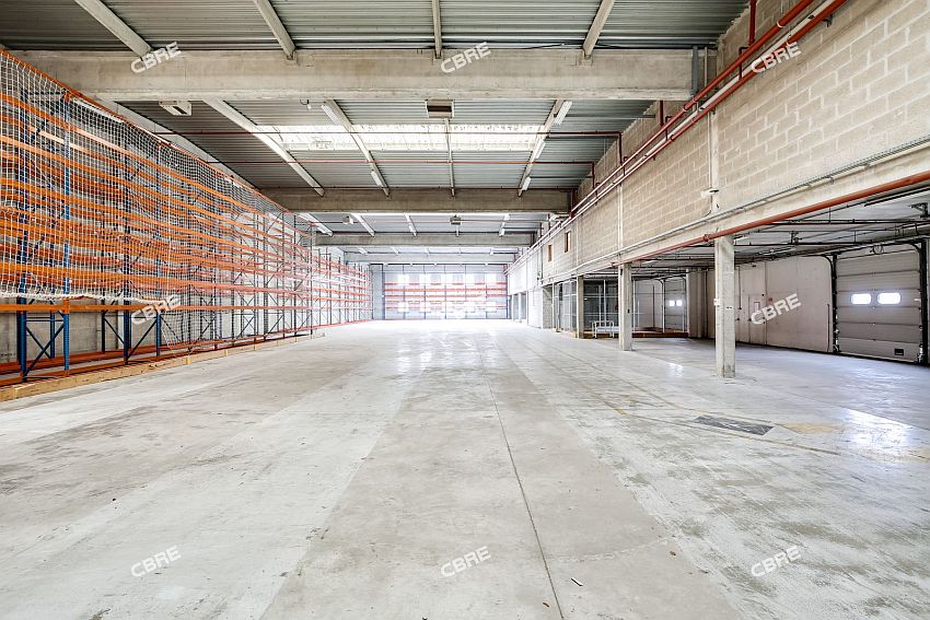 Chargement de l'image...