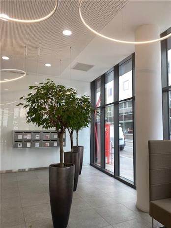 Bureau Location 69006 LYON 120 RUE MASSENA