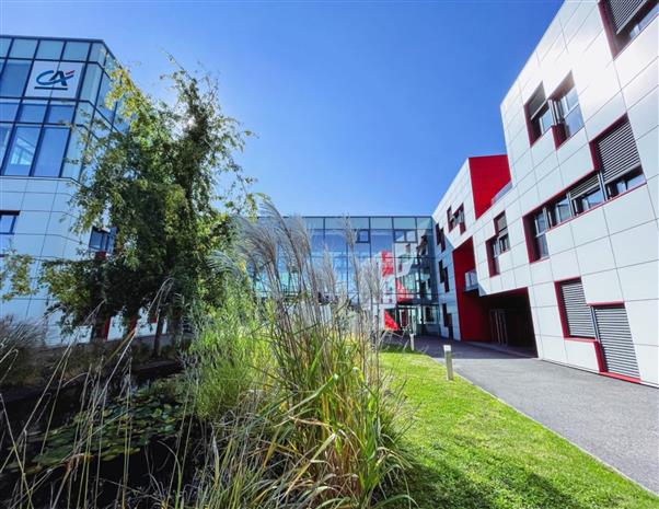 Chargement de l'image...