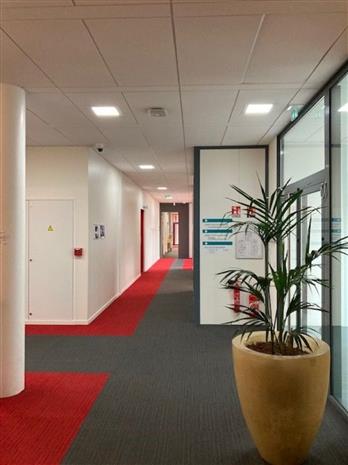 Bureau Vente/Location 69570 DARDILLY 66 CHEMIN DU MOULIN CARRON