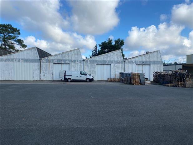 Local d'activités Location 33600 PESSAC