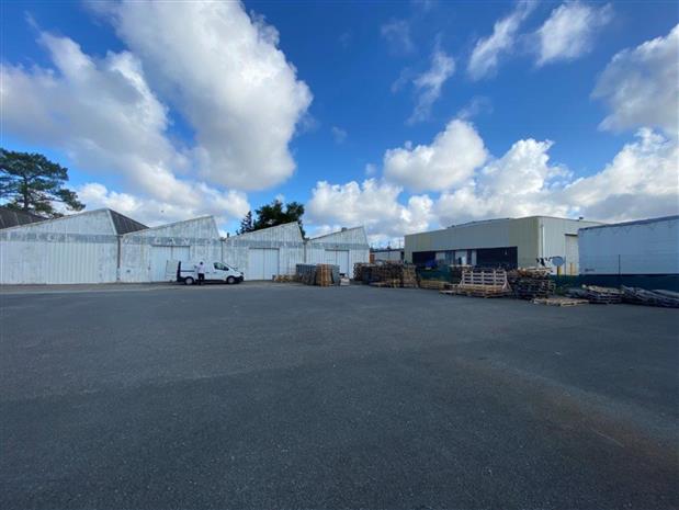 Local d'activités Location 33600 PESSAC