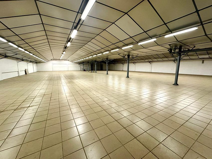 Chargement de l'image...