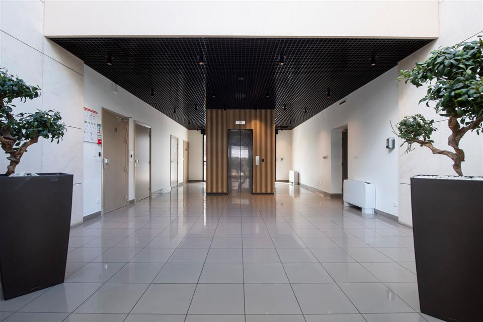 Bureau Location 69003 LYON 12BIS RUE GUILLOUD