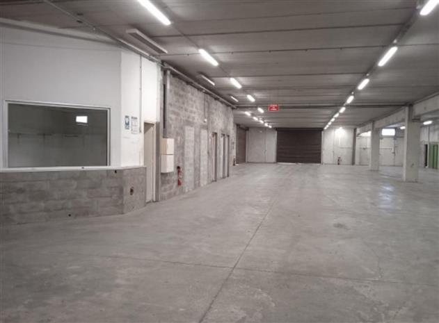 Local d'activités Location 06510 CARROS