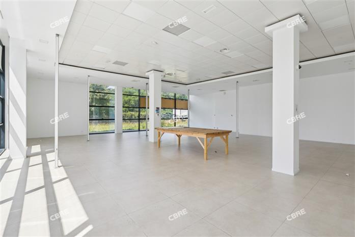 Entrepôt / Local d'activités Vente/Location 91250 TIGERY