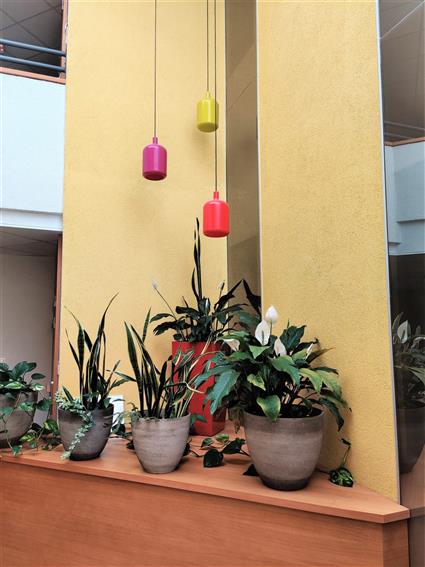 Bureau Location 31670 LABEGE