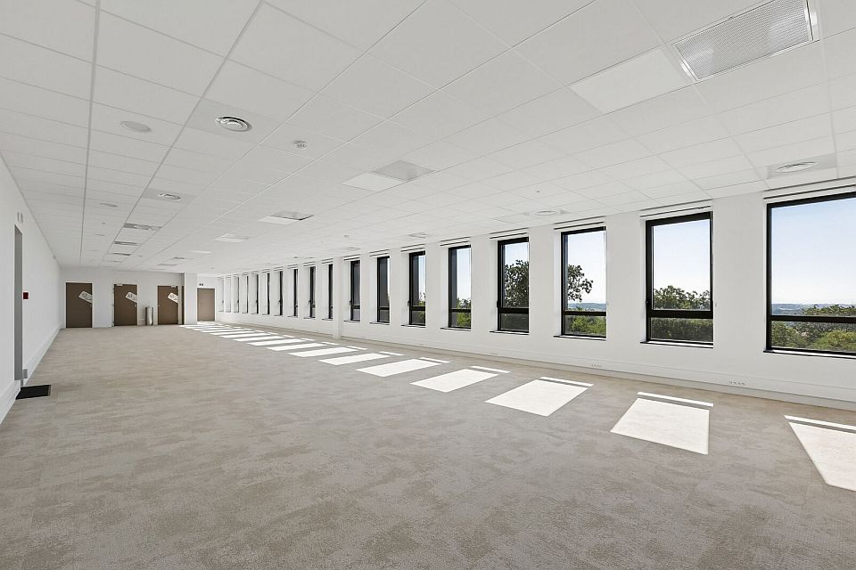 Entrepôt / Local d'activités Location 01390 MIONNAY