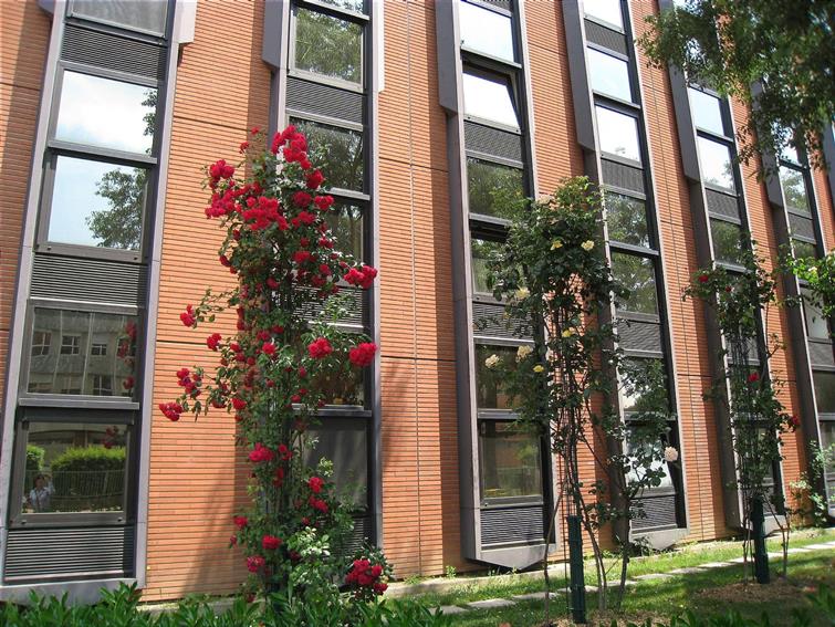 Bureau Location 31000 TOULOUSE