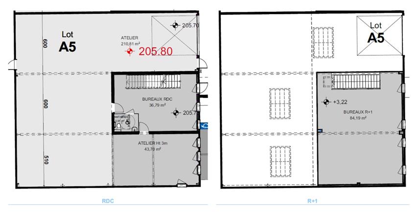 Local d'activités Location 69680 CHASSIEU 6 RUE D'ARSONVAL