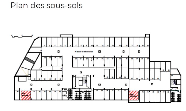 Local d'activités Location 69007 LYON