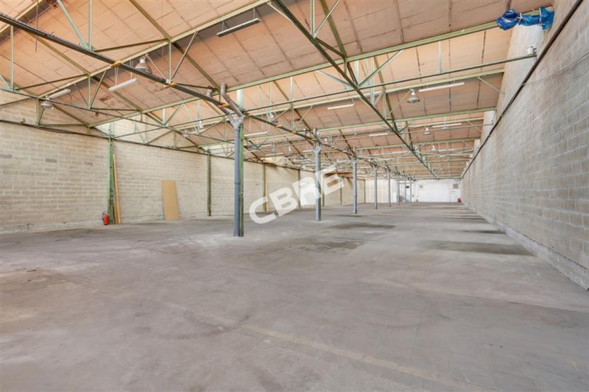 Chargement de l'image...