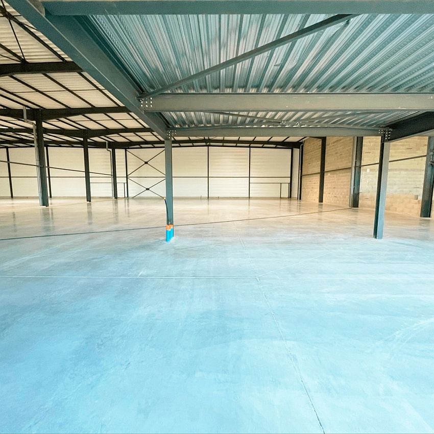 Local d'activités Location 69480 AMBERIEUX D'AZERGUES