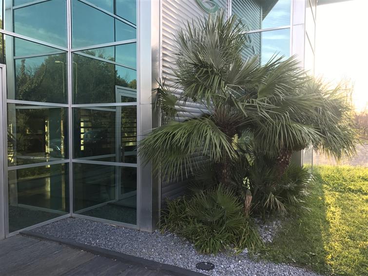 Local d'activités Location 13011 MARSEILLE