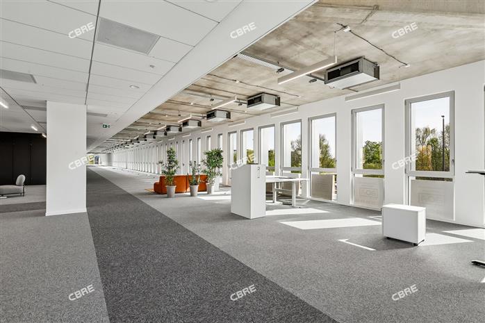 Bureau Location 59650 VILLENEUVE D'ASCQ