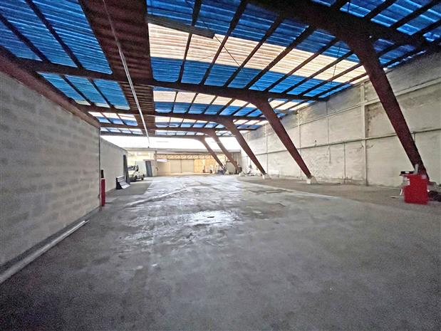 Local d'activités Location 59000 LILLE