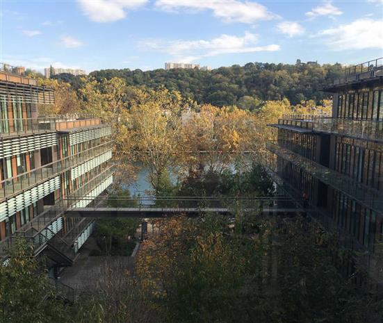 Bureau Location 69009 LYON 22 RUE FELIX MANGINI