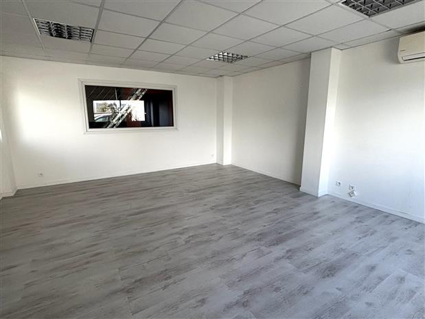 Local d'activités Location 31830 PLAISANCE DU TOUCH