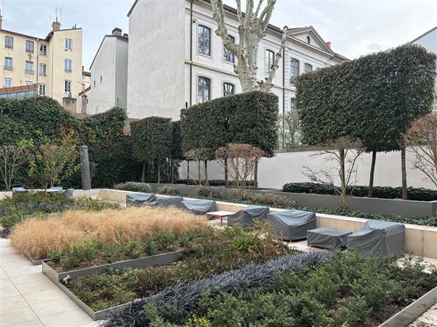 Bureau Location 69002 LYON 27 RUE AUGUSTE COMTE