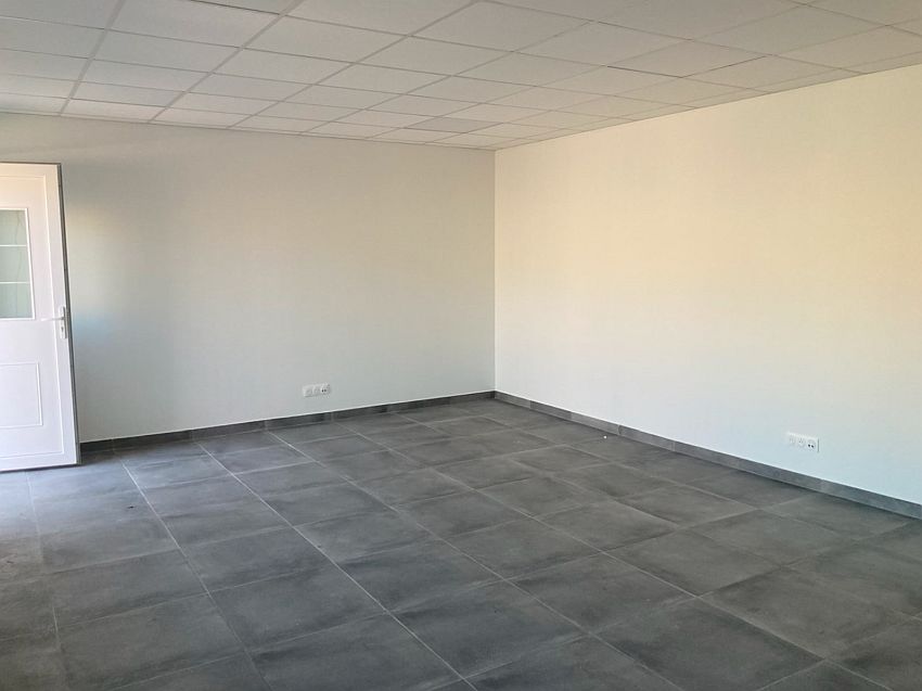 Local d'activités Location 45380 LA CHAPELLE ST MESMIN